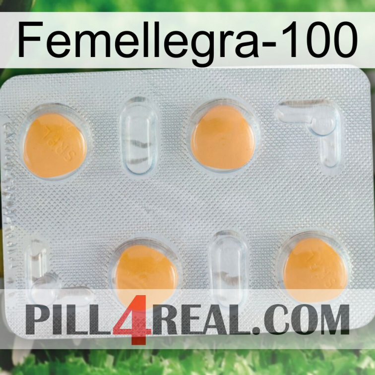 Femalegra-100 24